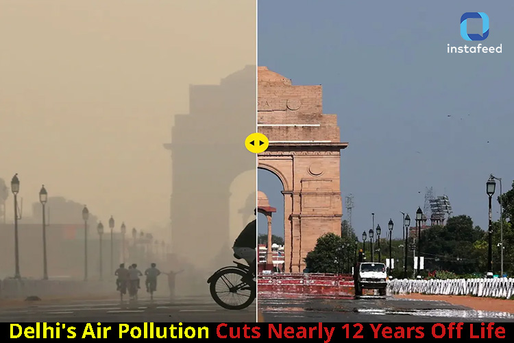 Delhi's Alarming Air Pollution Crisis Shaves Nearly 12 Years Off Life Expectancy